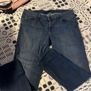 Ann Taylor Jeans 12